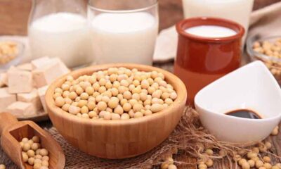 Advantages And Disadvantages Of Soybeans