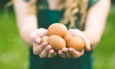 Benefits of Eggs