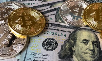 risks and rewards of investing in cryptocurrency