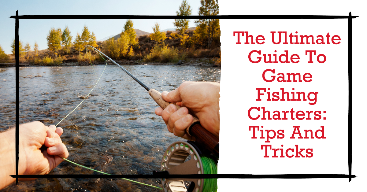 The Ultimate Guide To Game Fishing Charters Tips And Tricks